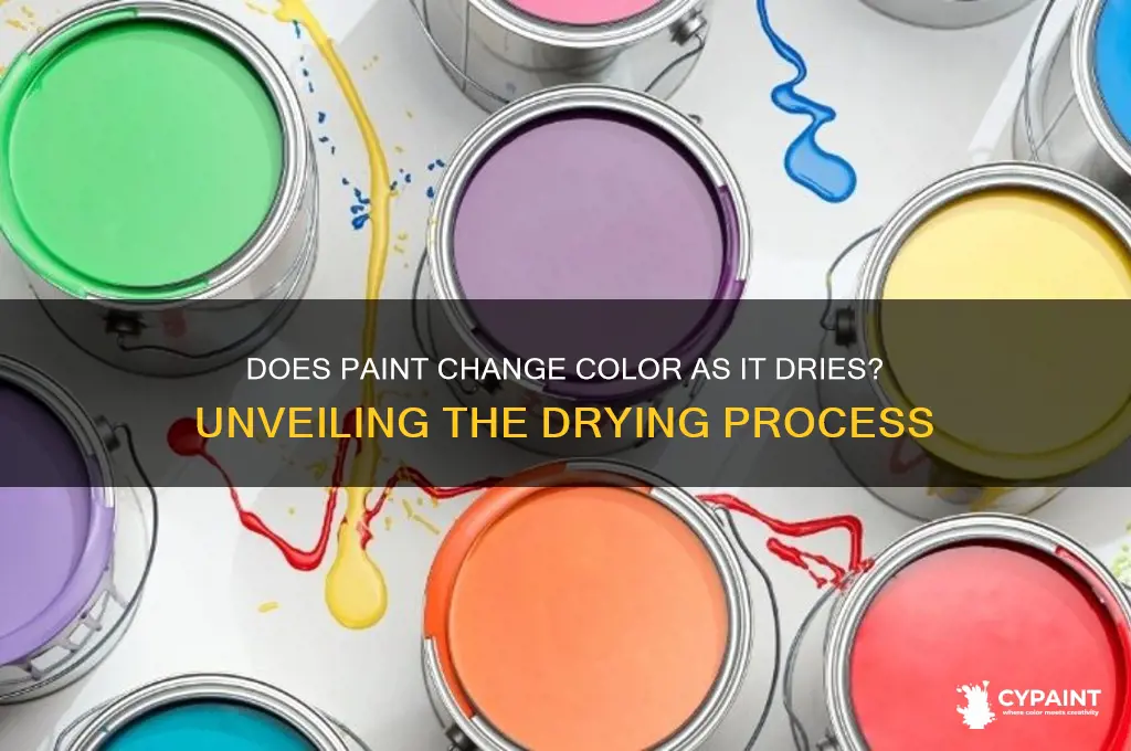 does paint change colour as it dries