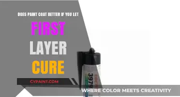 Does Paint Adhere Better After First Layer Cures? Expert Insights