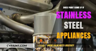Can Paint Stick to Stainless Steel Appliances? A Comprehensive Guide