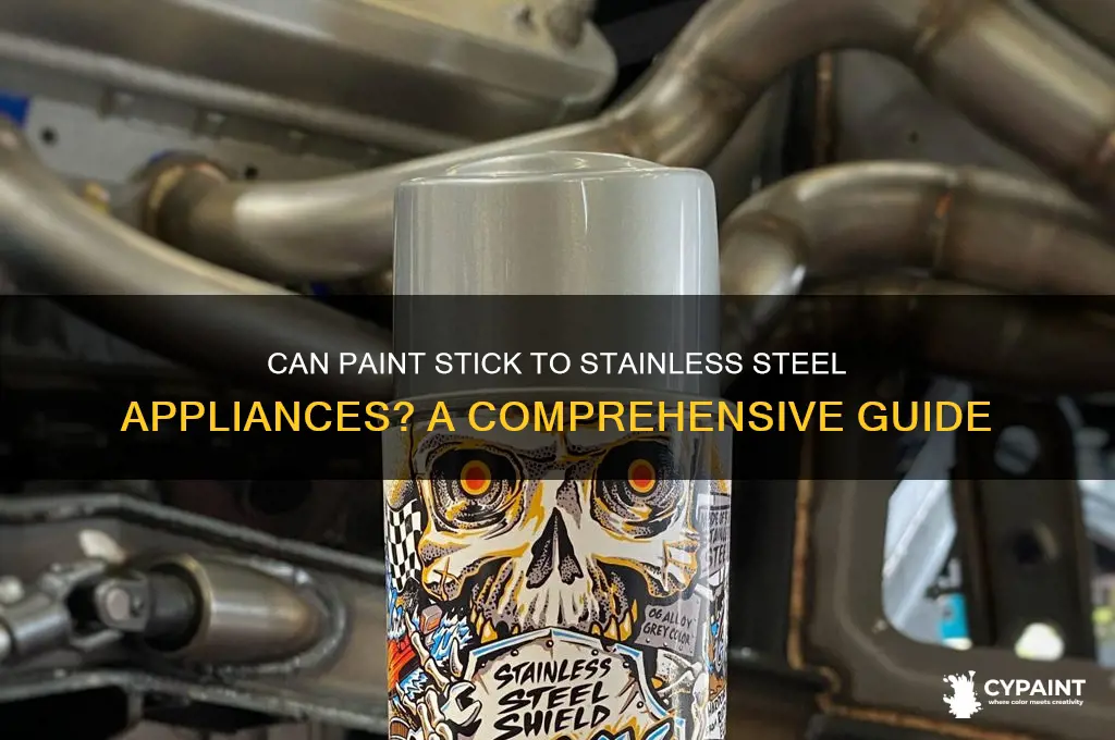 does paint come if if stainless steel appliances