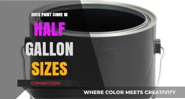 Half Gallon Paint Cans: Availability, Uses, and Buying Tips