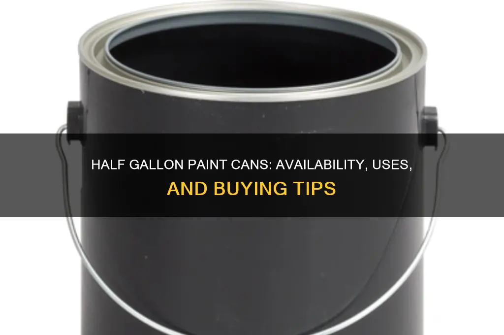 does paint come in half gallon sizes