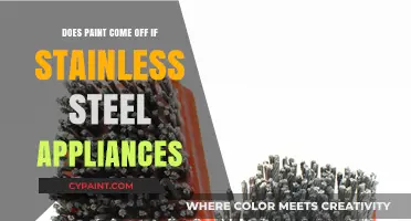 Removing Paint from Stainless Steel Appliances: Tips and Techniques