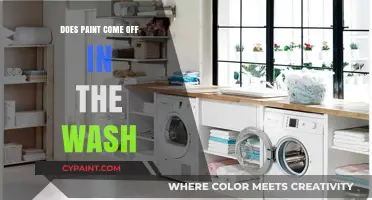 Will Paint Survive the Wash? Tips to Prevent Laundry Disasters