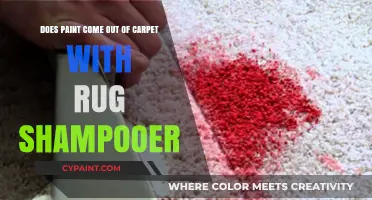 How to Remove Paint Stains from Carpets