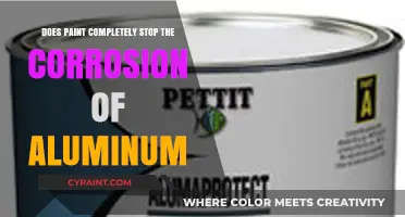 Can Paint Fully Prevent Aluminum Corrosion? Facts and Myths Explained