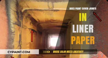 Can Paint Effectively Conceal Joints in Liner Paper? Expert Tips