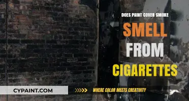 Can Paint Truly Mask Lingering Cigarette Smoke Odors in Your Home?