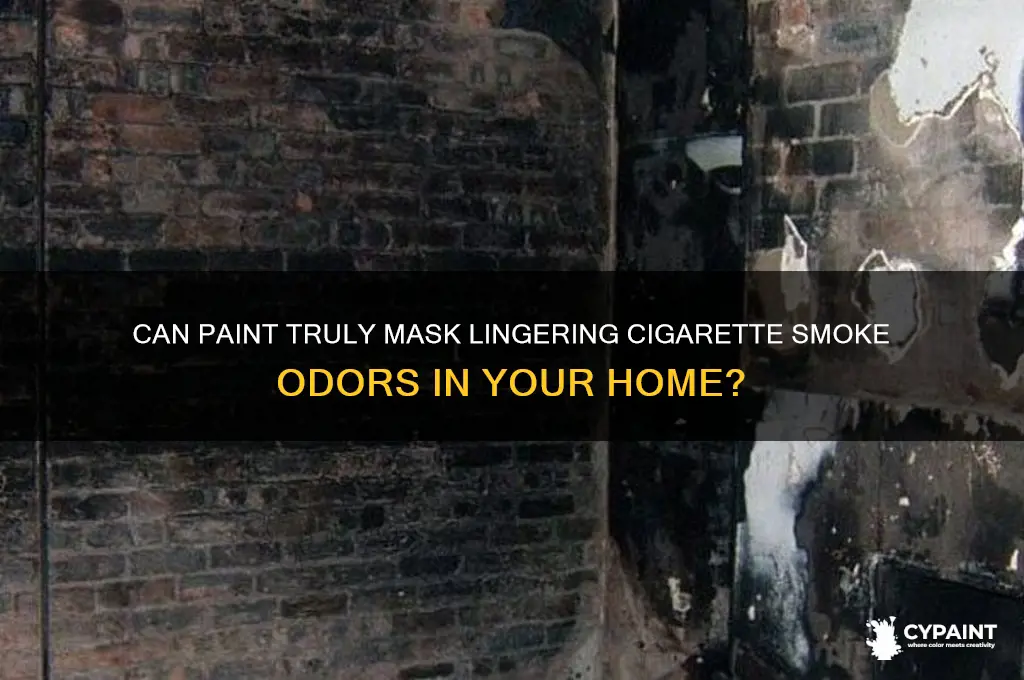 does paint cover smoke smell from cigarettes