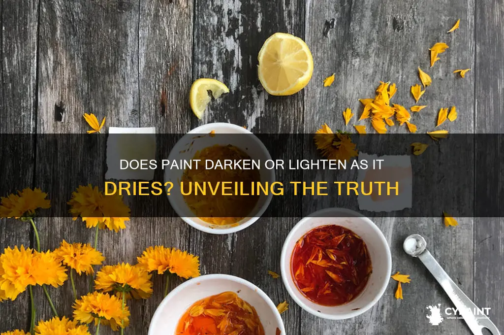 does paint darken or lighten as it dries