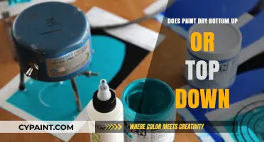 Does Paint Dry Bottom Up or Top Down? Unraveling the Mystery
