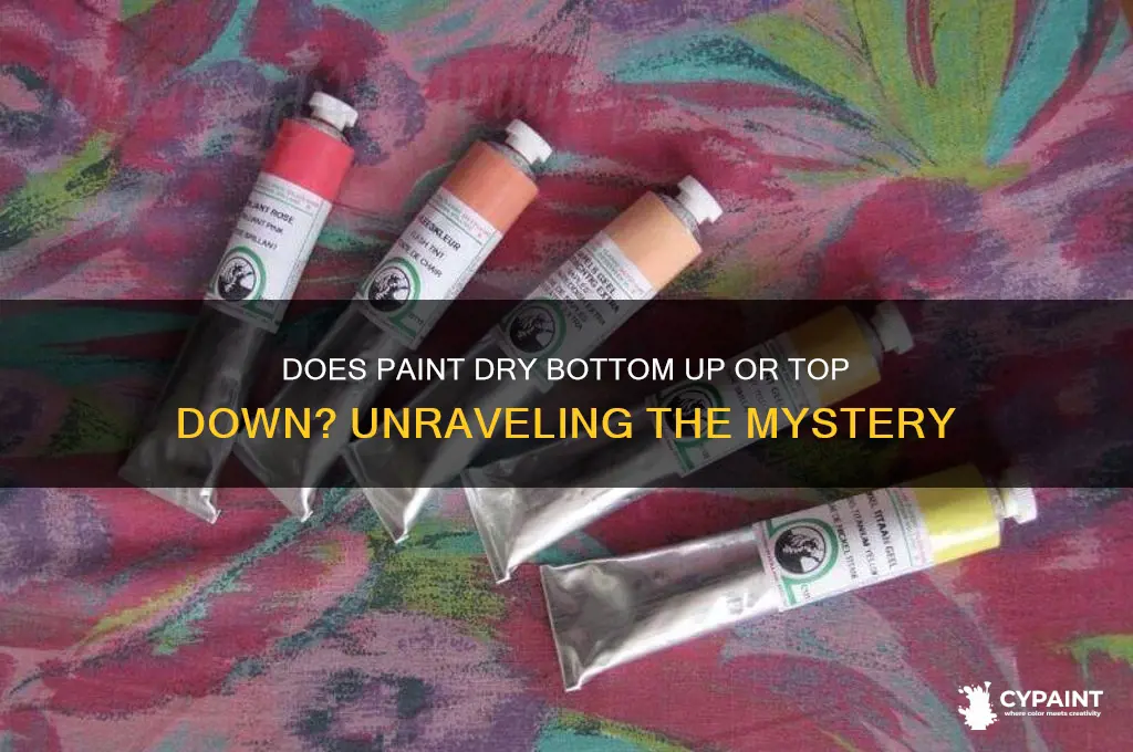does paint dry bottom up or top down