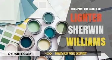 Does Paint Dry Darker or Lighter? Sherwin Williams Explained
