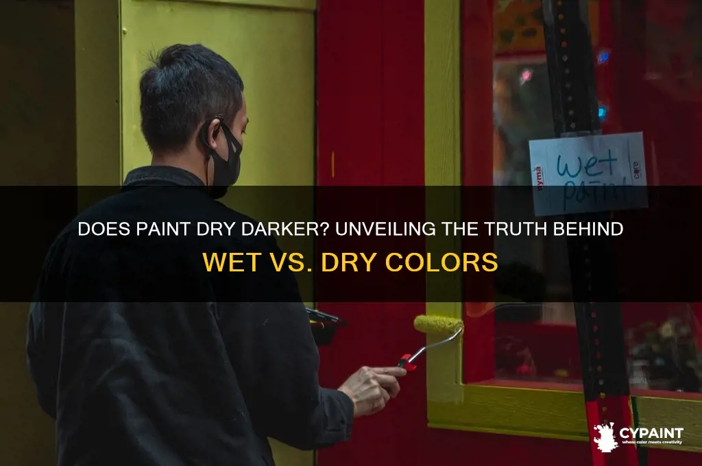 does paint dry darker when it drys