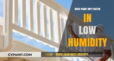 Low Humidity and Paint Drying: Speeding Up the Process