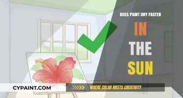 Sunlight's Impact: Does Paint Dry Faster in the Sun?