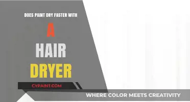 Speeding Up Paint Drying: Hair Dryer Hack or Myth?
