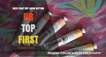 Does Paint Dry from the Bottom or Top First? Explained