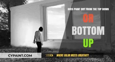 Does Paint Dry Top-Down or Bottom-Up? Unraveling the Mystery