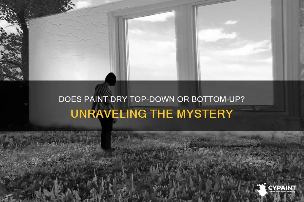 does paint dry from the top down or bottom up