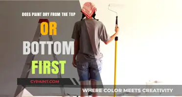 How Does Paint Dry? Top or Bottom First?
