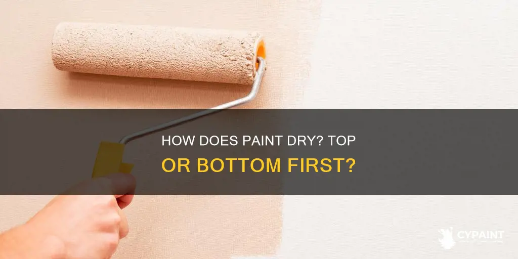 does paint dry from the top or bottom first