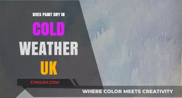 Does Paint Dry in Cold UK Weather? Essential Tips and Insights