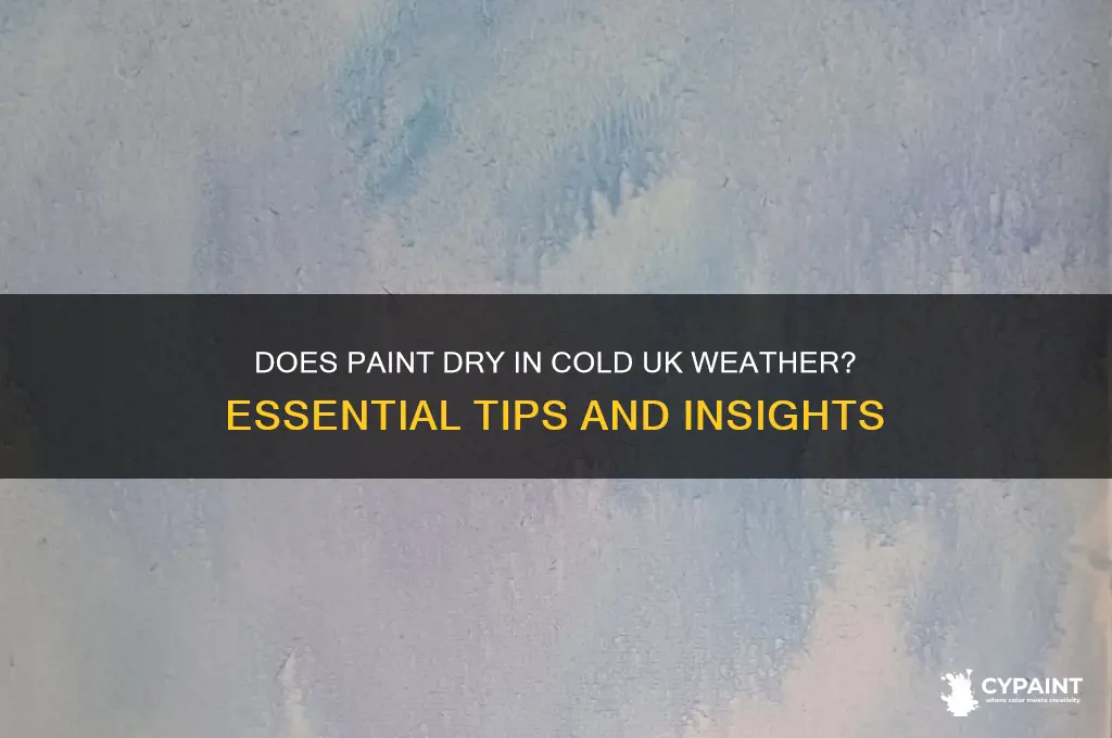 does paint dry in cold weather uk