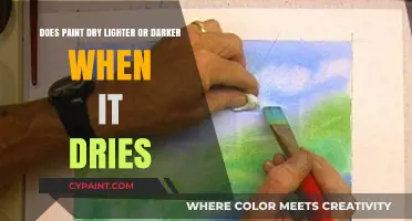 Paint Drying: Lighter or Darker?