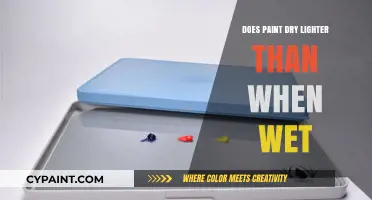 Does Paint Dry Lighter? Unveiling the Wet-to-Dry Color Transformation