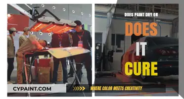 Understanding Paint: Drying vs. Curing Process Explained Simply