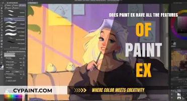 Exploring Paint EX: Does It Include All Paint EX Features?