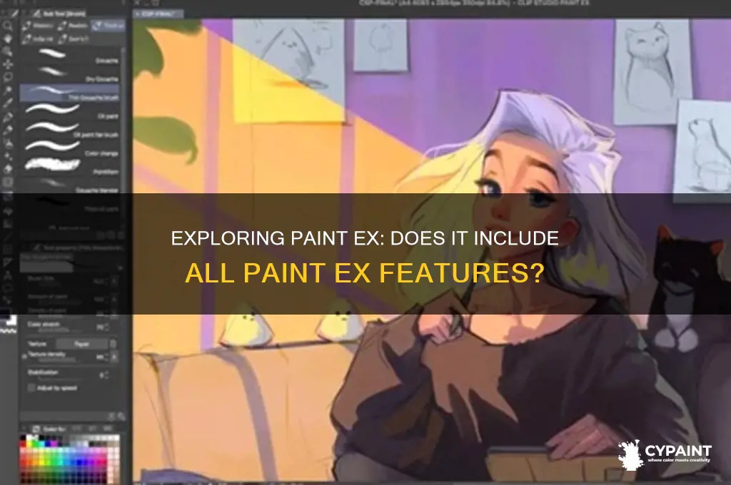does paint ex have all the features of paint ex