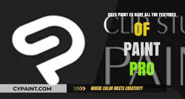 Paint Ex vs. Paint Pro: Feature Comparison and Key Differences