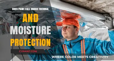 Paint's Role in Thermal and Moisture Protection: What You Need to Know