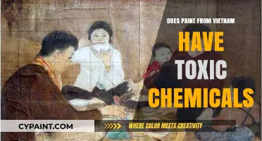 Is Vietnamese Paint Safe? Uncovering Potential Toxic Chemicals Inside