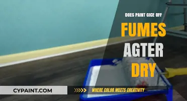 Does Paint Emit Fumes After Drying? Uncovering Post-Dry Air Quality Concerns