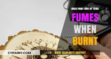 Burning Paint: Uncovering the Toxic Fumes and Health Risks