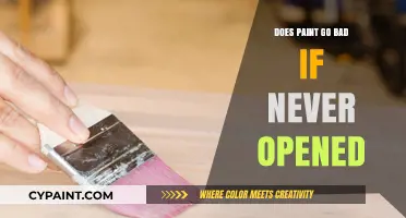 Does Unopened Paint Expire? Shelf Life and Storage Tips