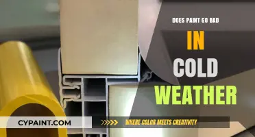 Does Paint Go Bad in Cold Weather? Storage Tips Revealed