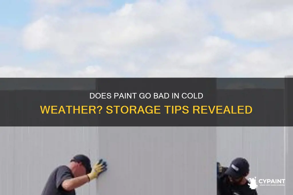 does paint go bad in cold weather