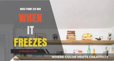 Can Frozen Paint Be Saved? Understanding Its Shelf Life and Storage