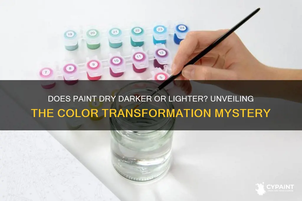 does paint go on darker or lighter