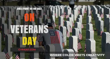 Veterans Day Paint Sales: Are Discounts Available for Home Projects?