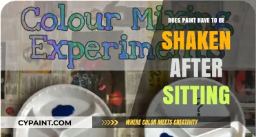 Why Paint Needs Shaking: The Science Behind It