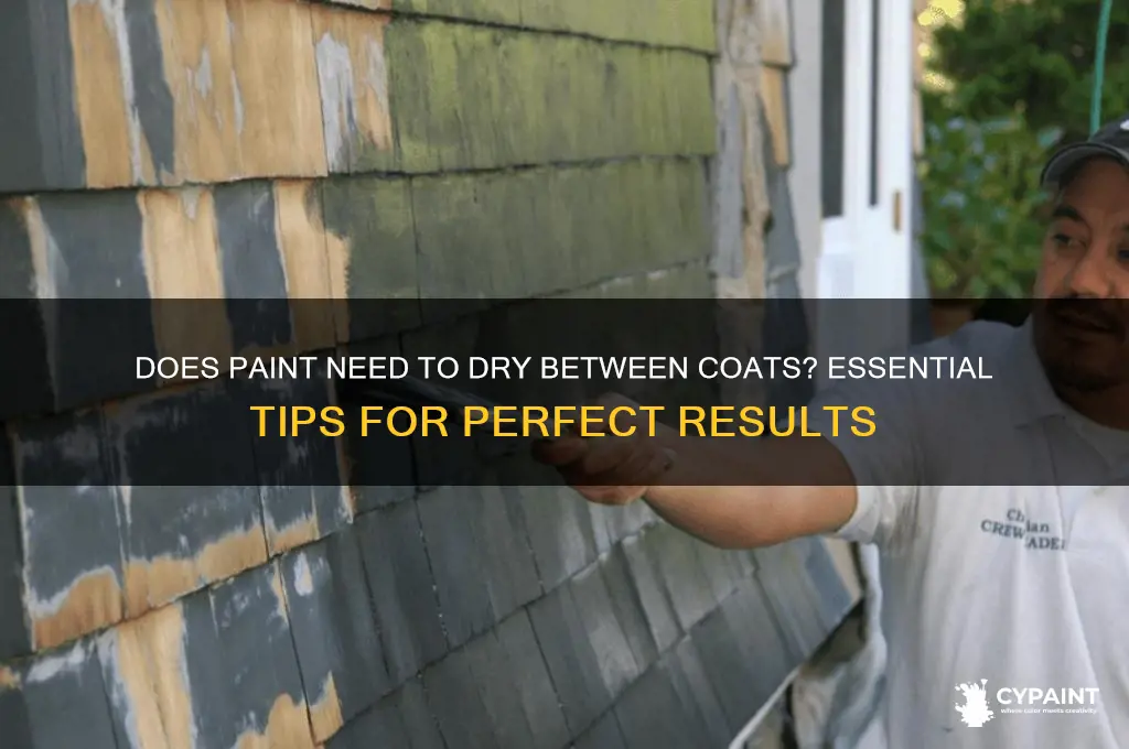 does paint have to dry between coats