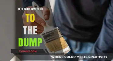 Dispose of Paint: Dump or Recycle?