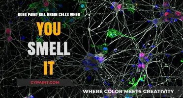 How Paint Inhalation Affects Brain Cells