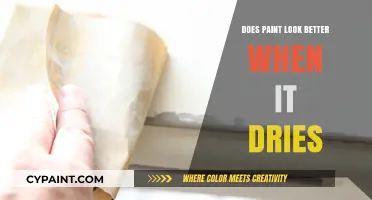 Does Paint Look Better When It Dries? Unveiling the Truth