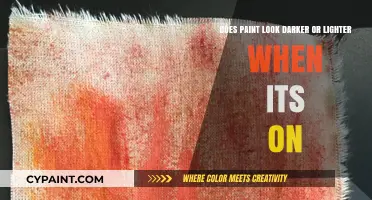 Paint Color Illusion: Darker or Lighter?